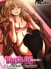 blush-dc-himitsu.jpg